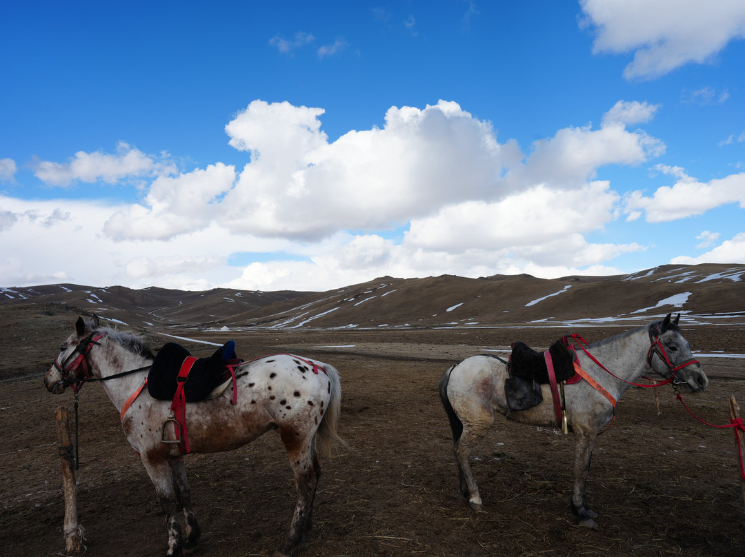 Askar Horse Riding Tour-Kyzart必去景点