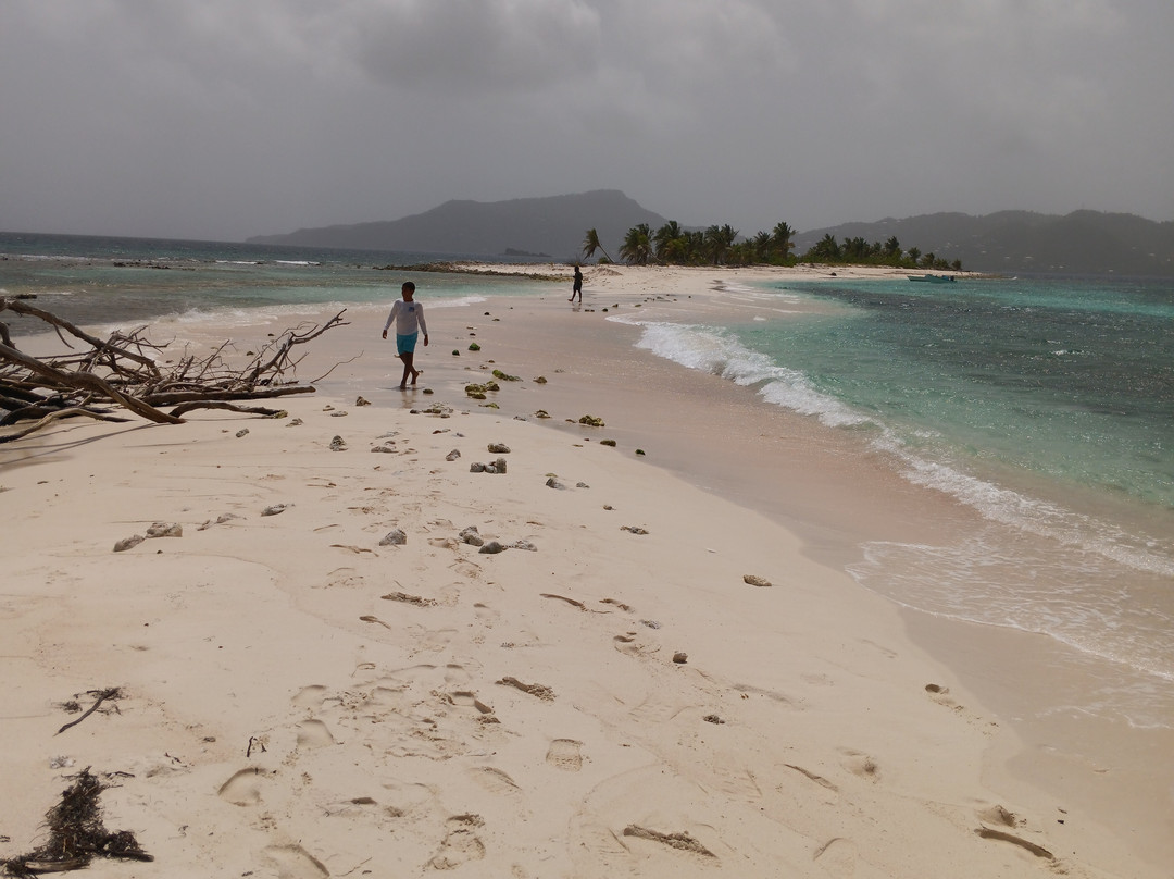 Sandy Island-Carriacou Island必去景点