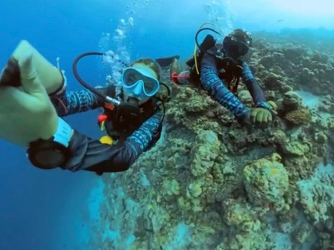 Euro-Divers Meeru-蜜月岛必去景点