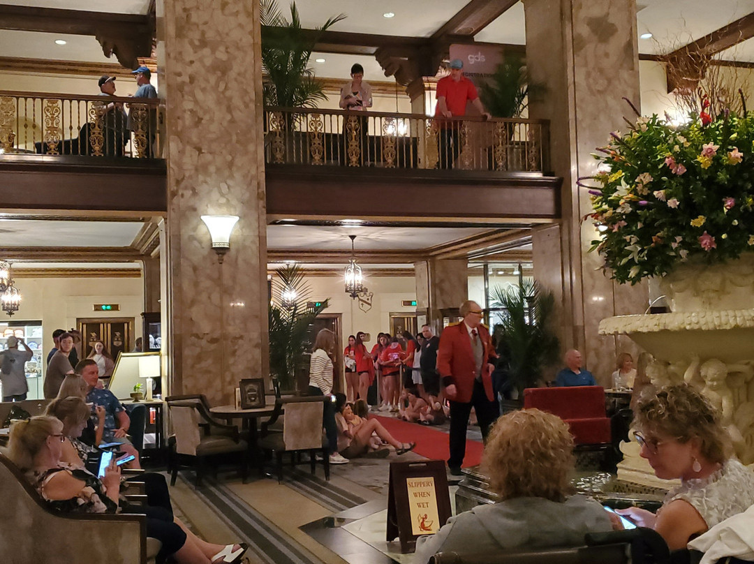 The Peabody Ducks-孟菲斯必去景点