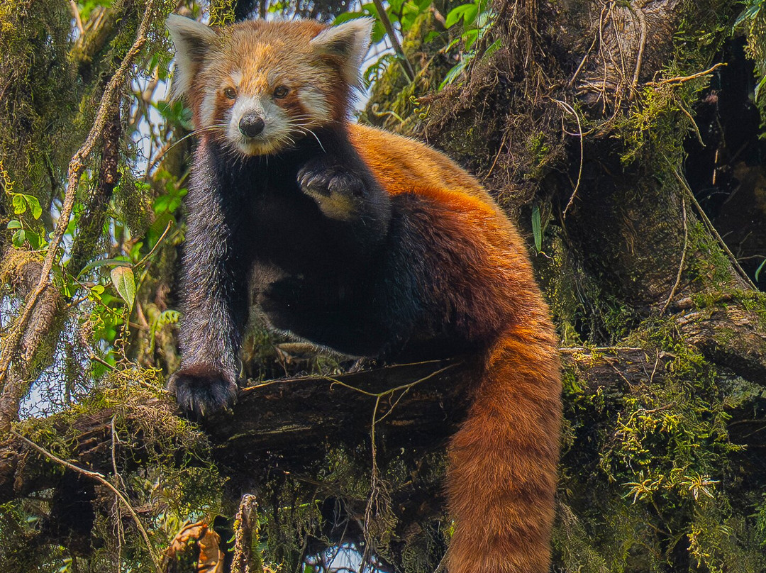 Happy Hathi Expeditions-孟买必去景点