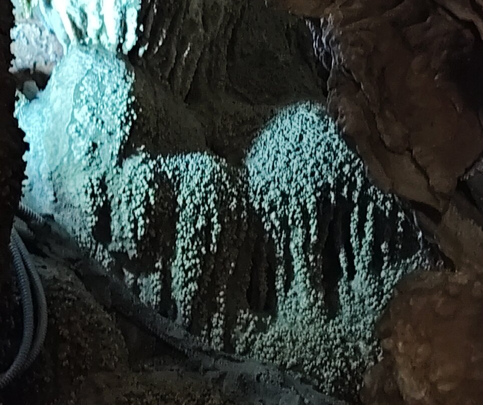 Grotta del Trullo-Putignano必去景点