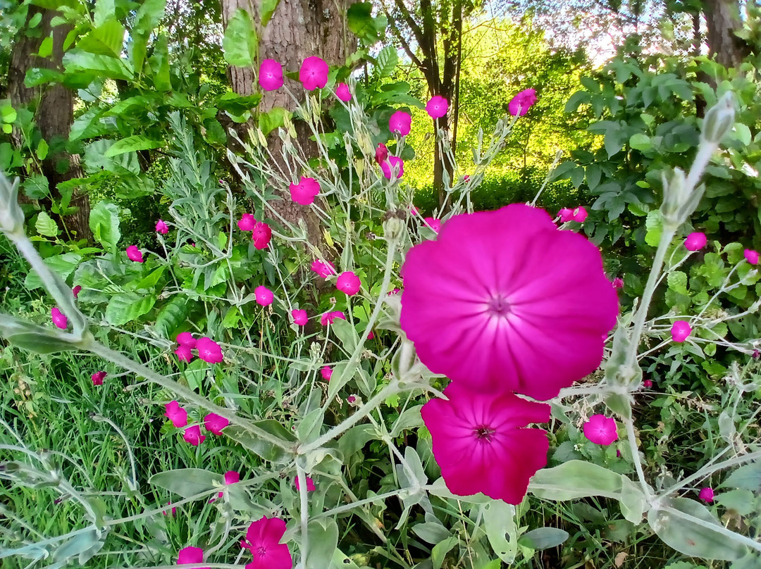 Little Marlow Lakes Country Park-Little Marlow必去景点