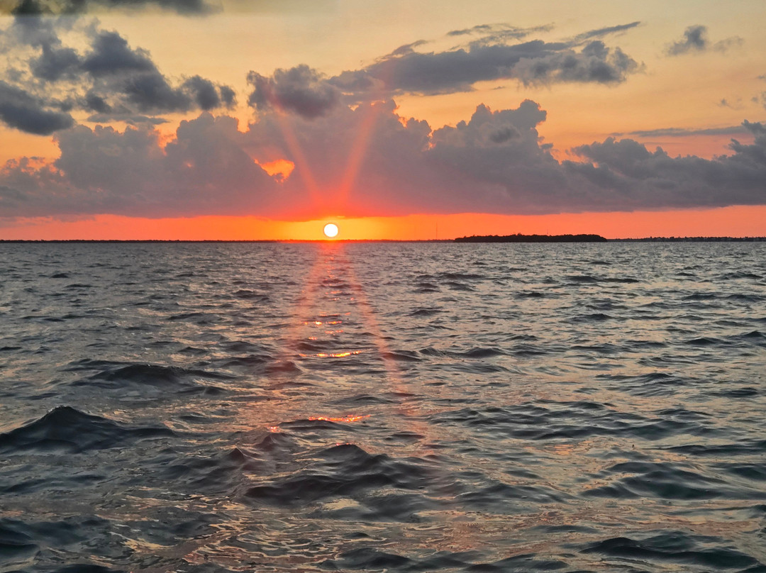 Xotic Island Charters-Cudjoe Key必去景点