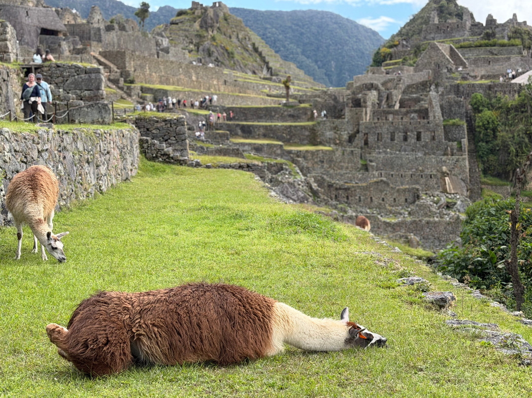 Peru Viva Experience-库斯科必去景点