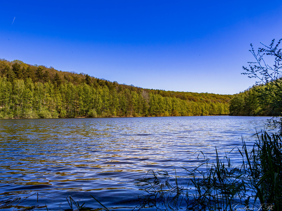 Lake Ry de Rome