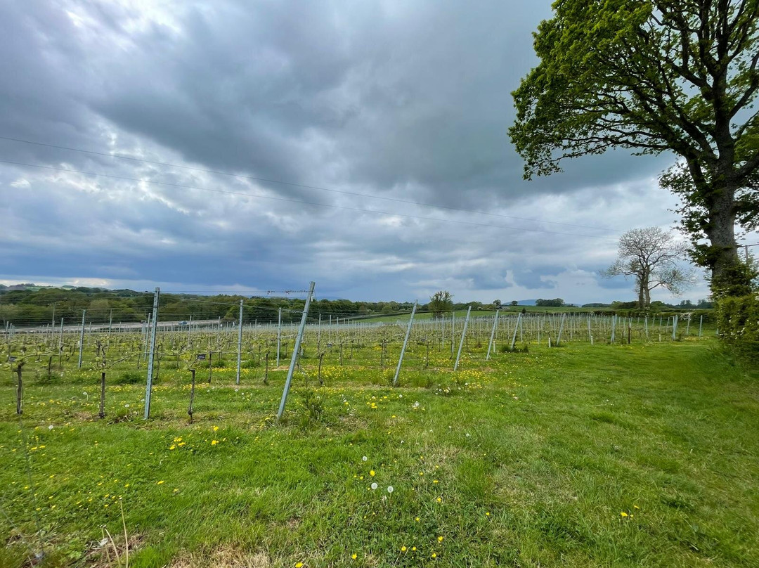 The Dell Vineyard-Raglan必去景点