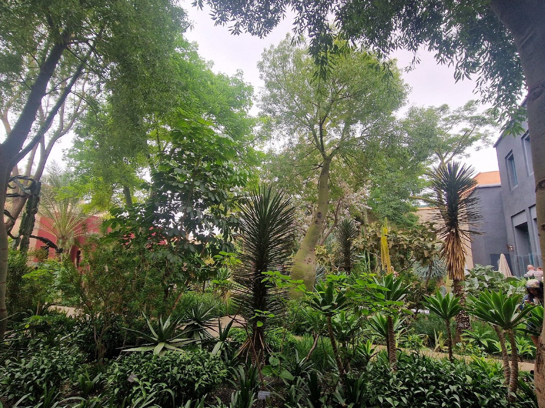 香颂秘密花园-马拉喀什必去景点