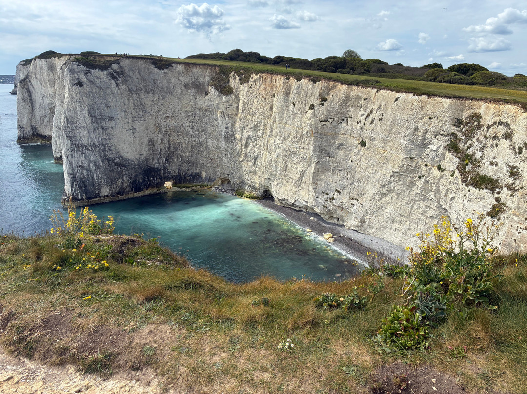 Old Harry Rocks-斯沃尼奇必去景点
