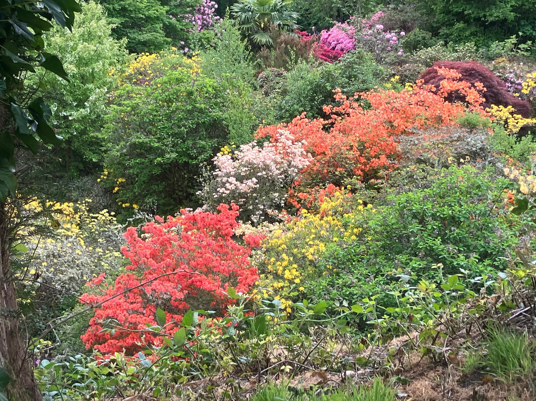Scotney Castle Garden-Lamberhurst必去景点