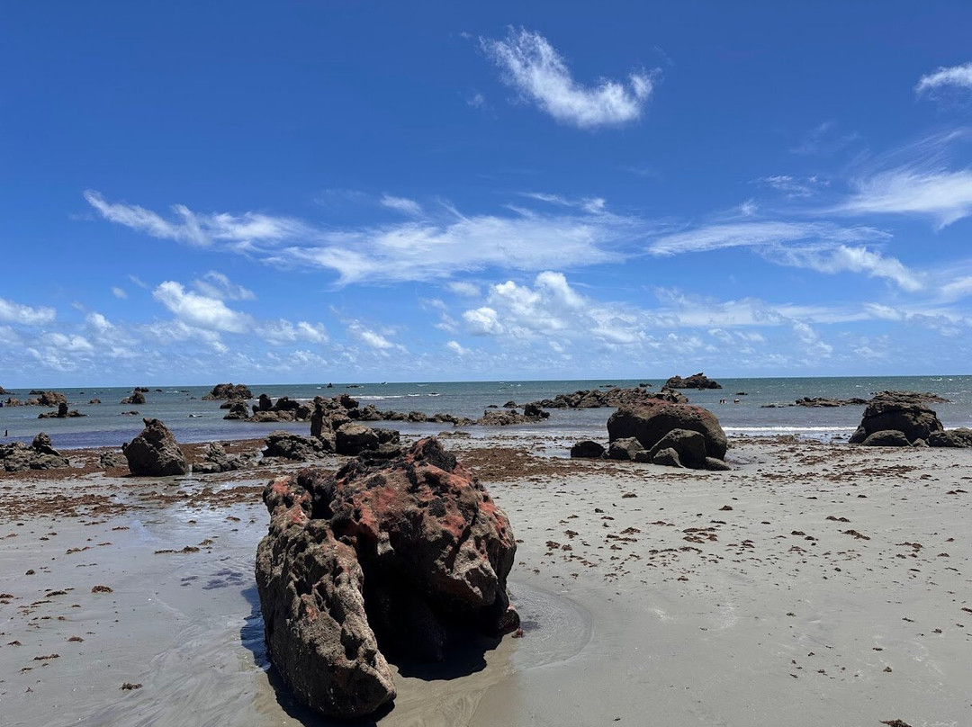 Praia De Ponta Grossa-Icapui必去景点