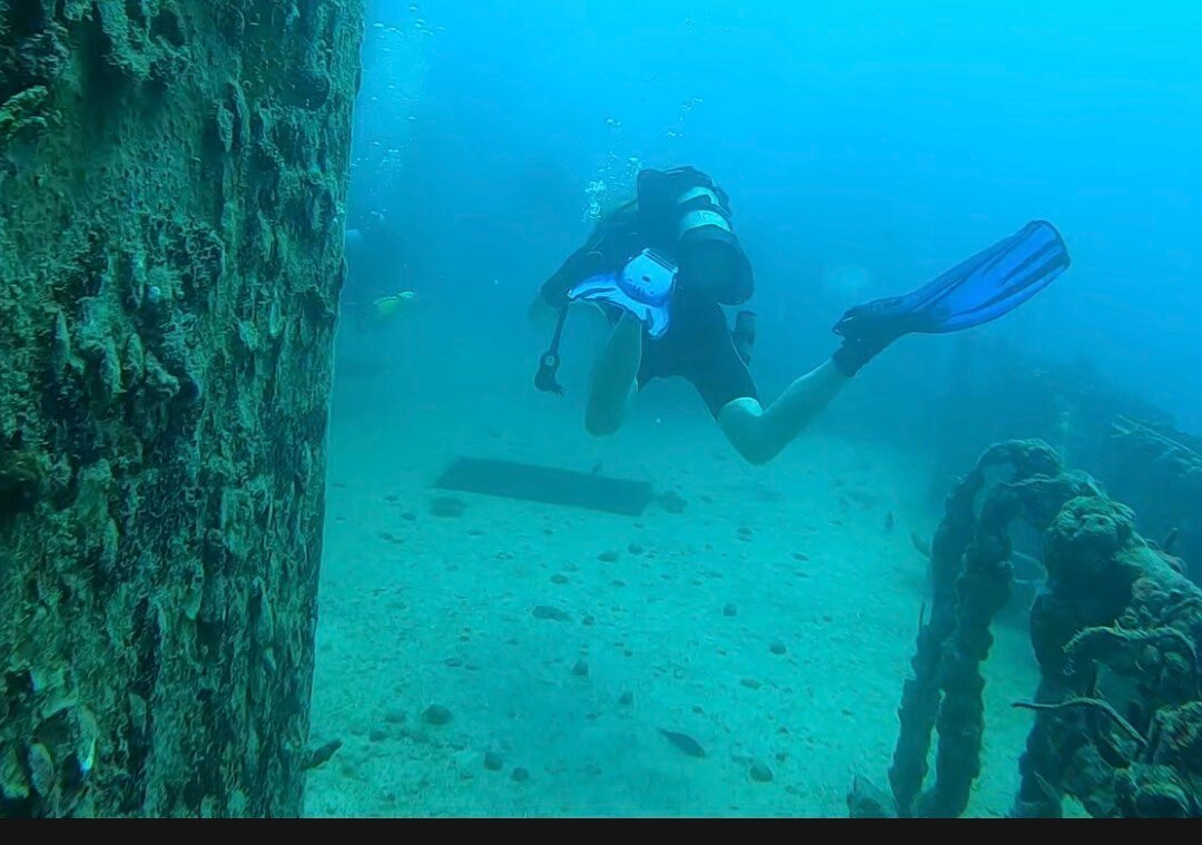 阿莫雷潜水度假村主图