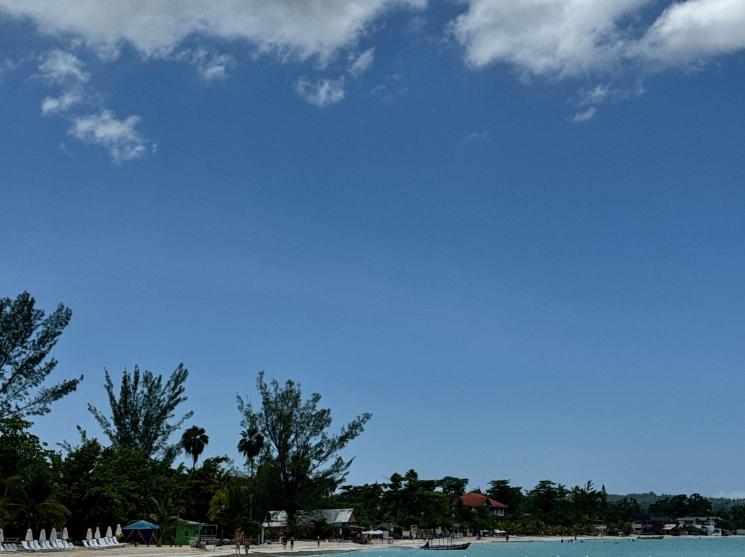 ScubaCaribe - Negril-内格里尔必去景点