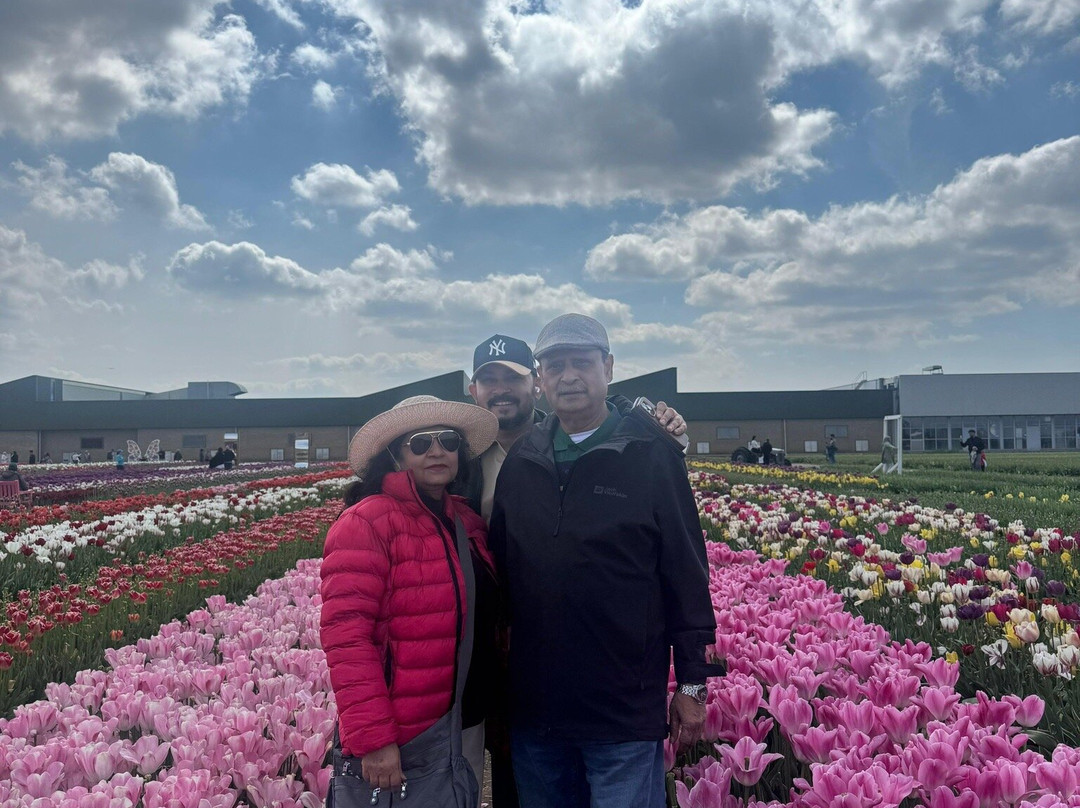 The Tulip Barn-Hillegom必去景点