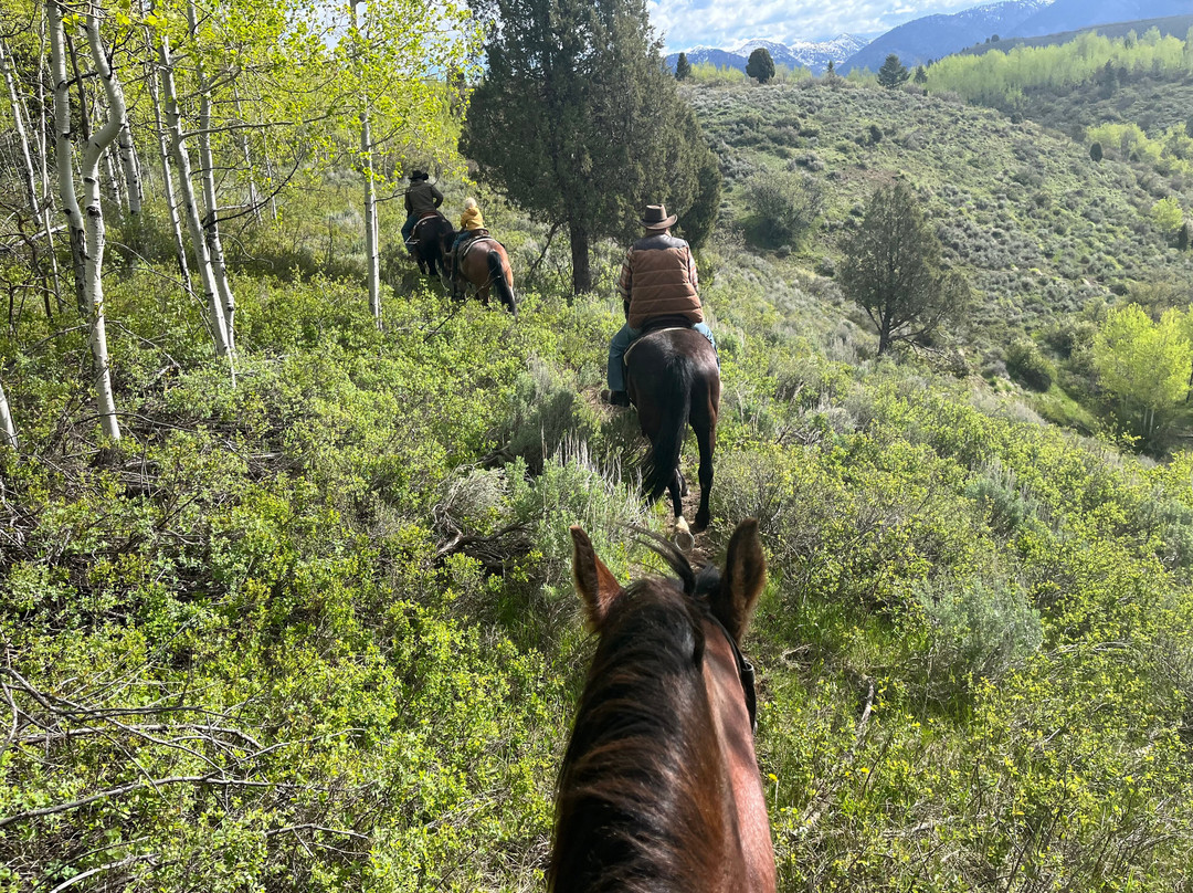 Jackson Hole Outfitters-Alpine必去景点