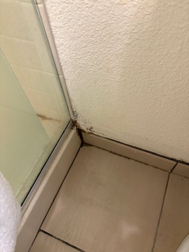 阿纳海姆-度假区洲际旗下Candlewood Suites酒店-旅行者
