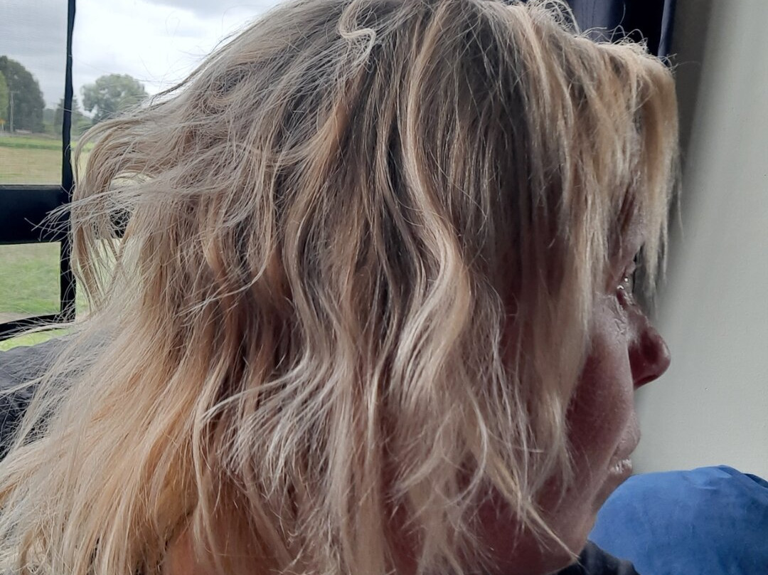 Vivo Hair Salon Rangiora- 朗基欧拉必去景点