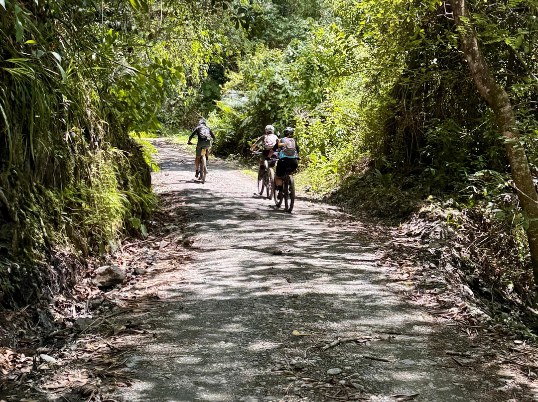 Pedal 1817 By Florida Bike Shop-Villamaria必去景点