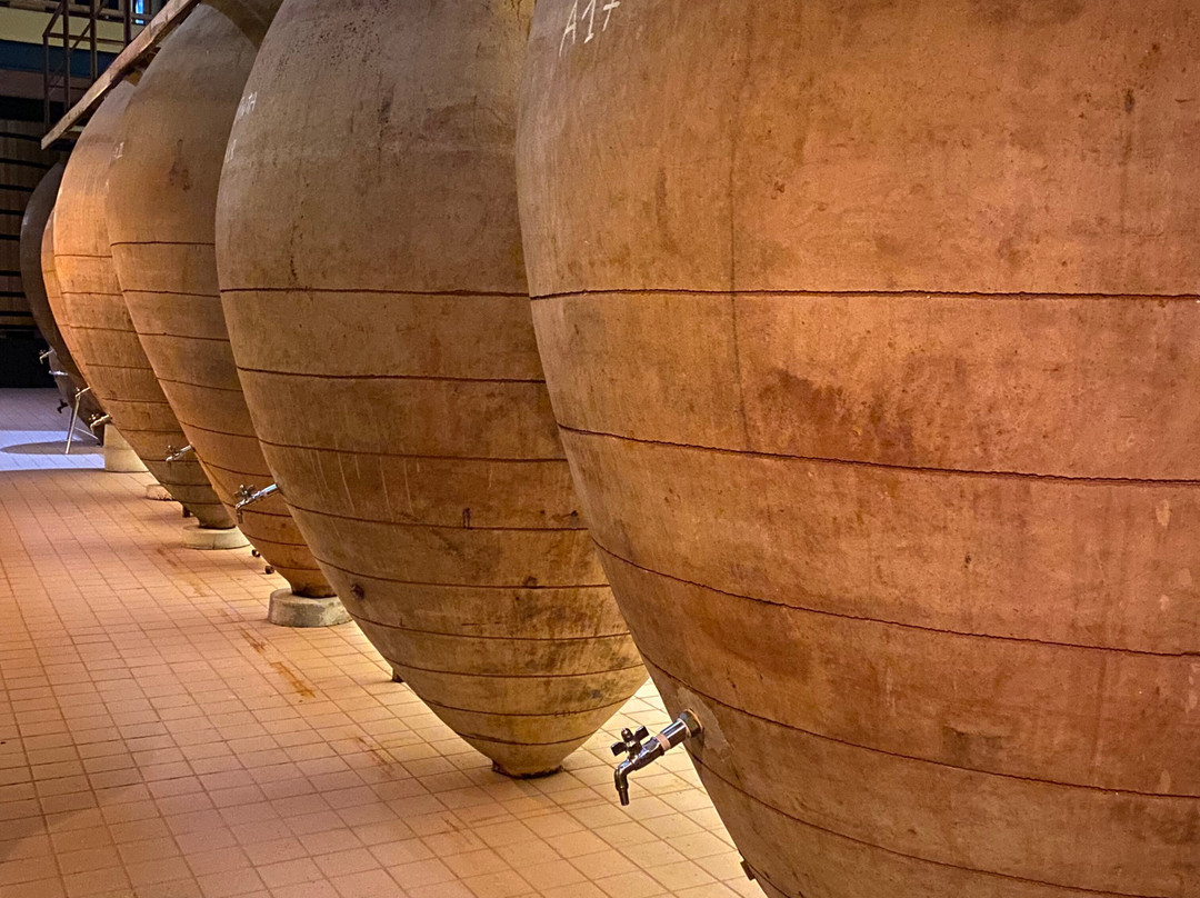 Bodegas Y Vinedos PradoRey-Gumiel Del Mercado必去景点