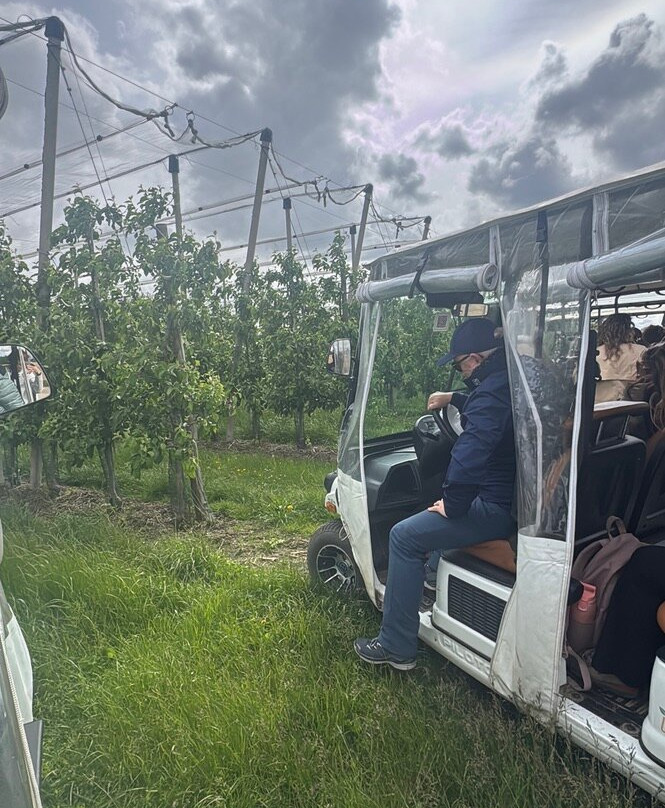 Wijnsafari in Haspengouw (Borgloon)-Borgloon必去景点