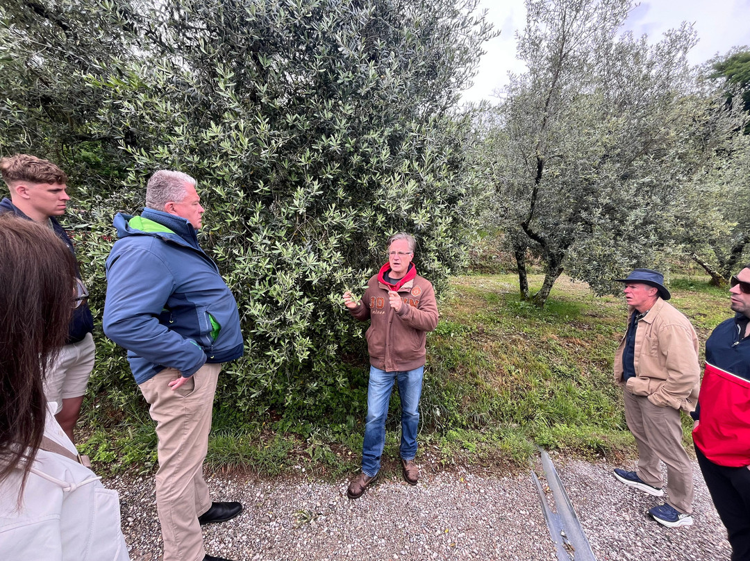 Agriturismo Tananei - Extra Virgin Olive Oil experience-Marliana必去景点