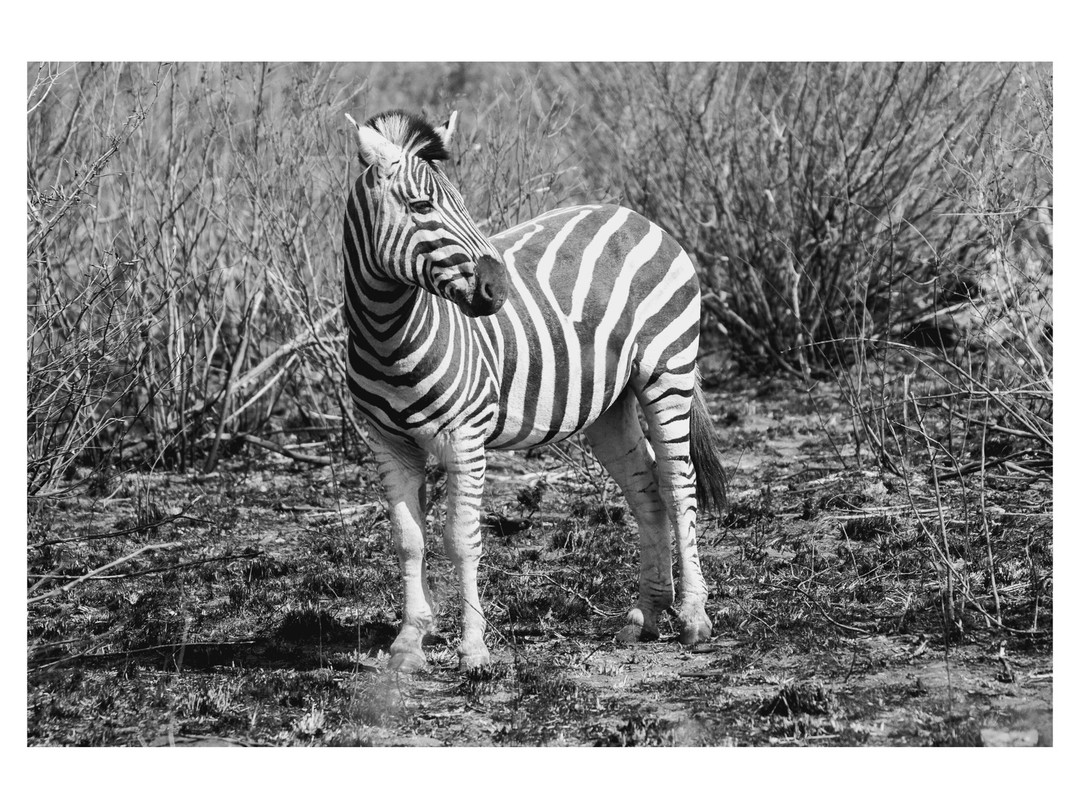Njeri Africa Tours