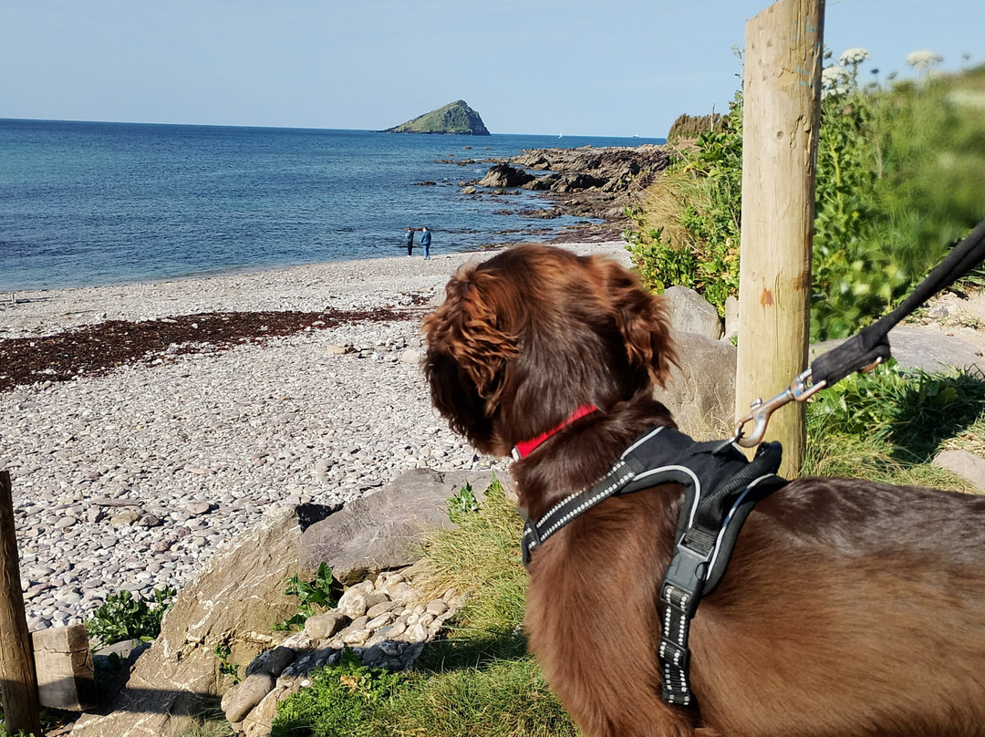 Wembury Beach-Wembury必去景点