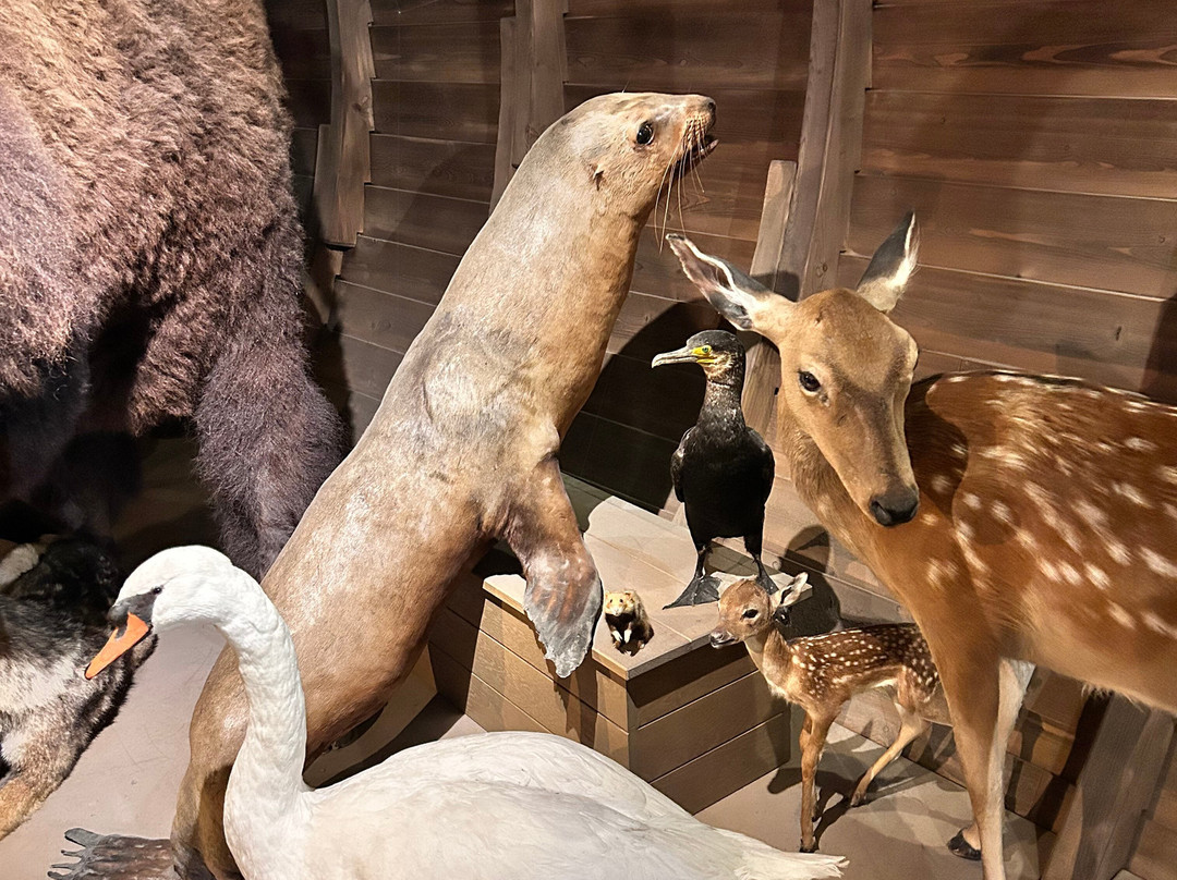 Naturkundemuseum-爱尔福特必去景点