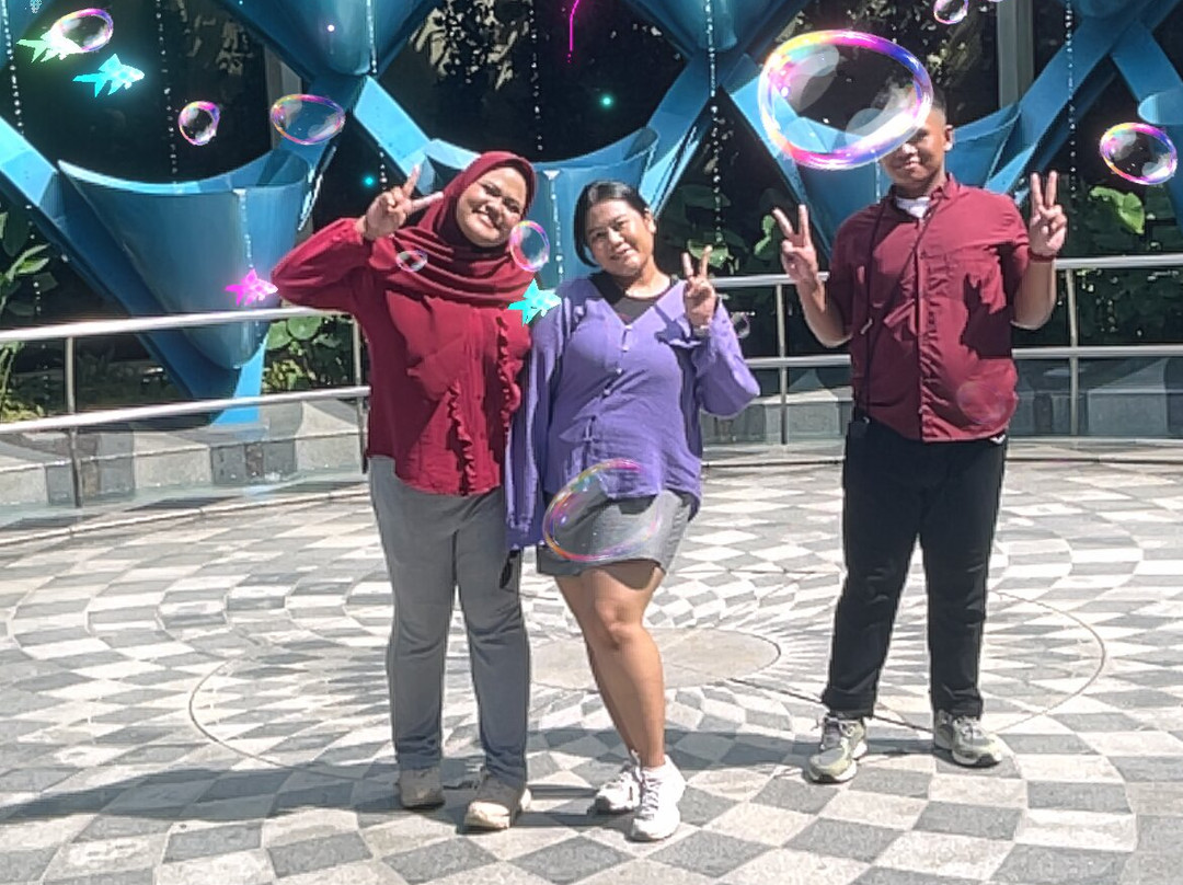 Sentosa SensoryScape-新加坡必去景点
