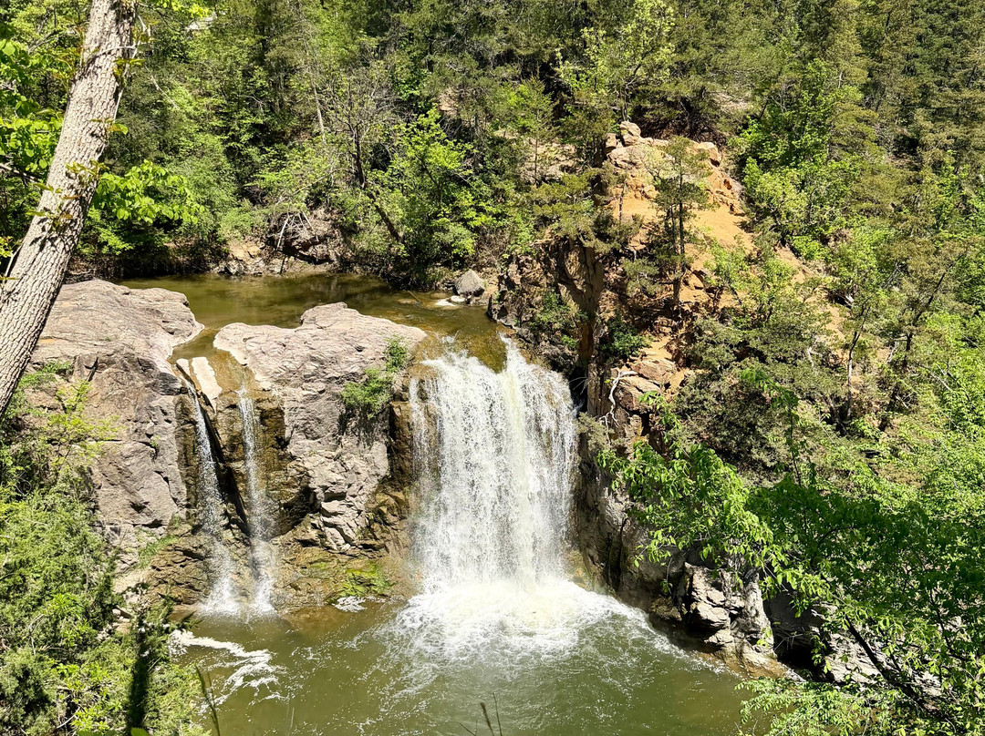 Alexander Ramsey Park-Redwood Falls必去景点