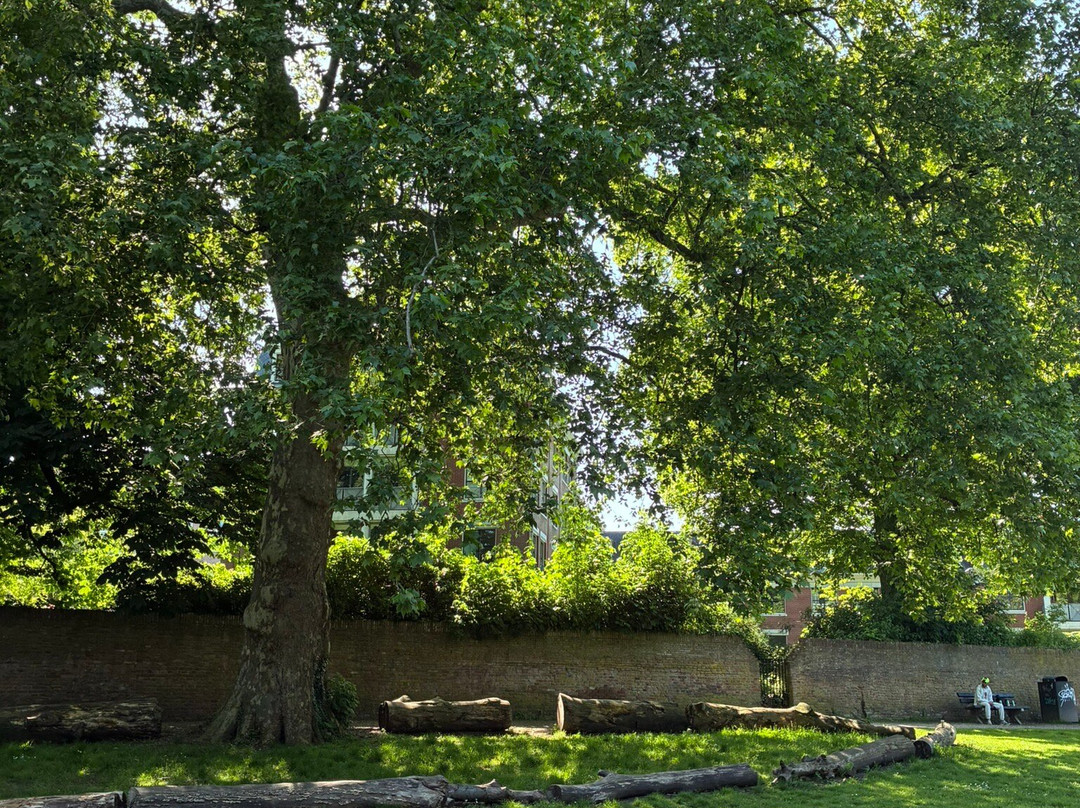 Torckpark Wageningen-瓦赫宁恩必去景点