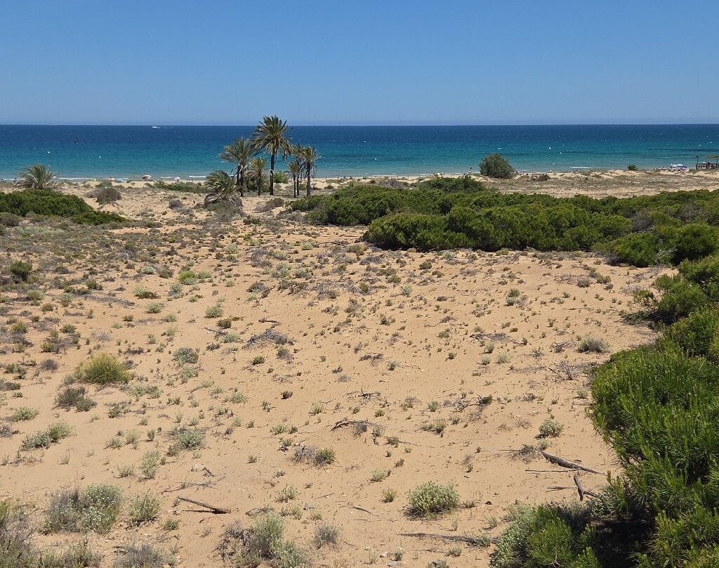 Platja Del Carabassí-埃尔切必去景点