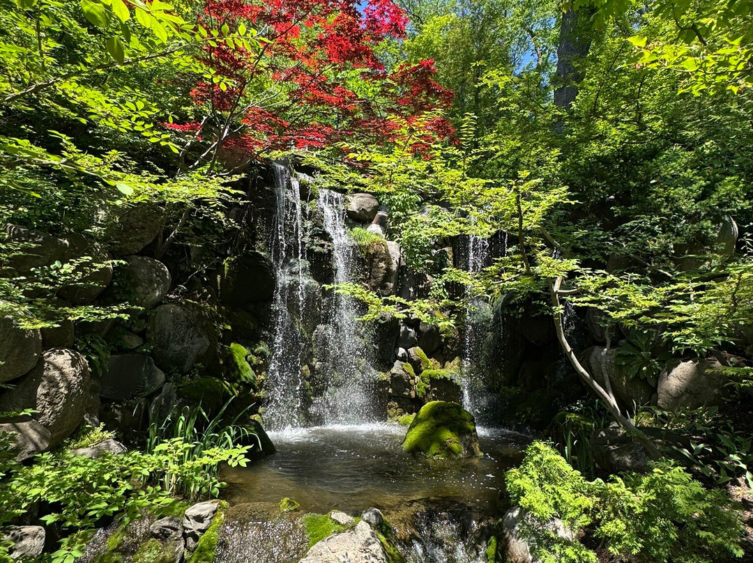 Anderson Japanese Gardens-罗克福德必去景点