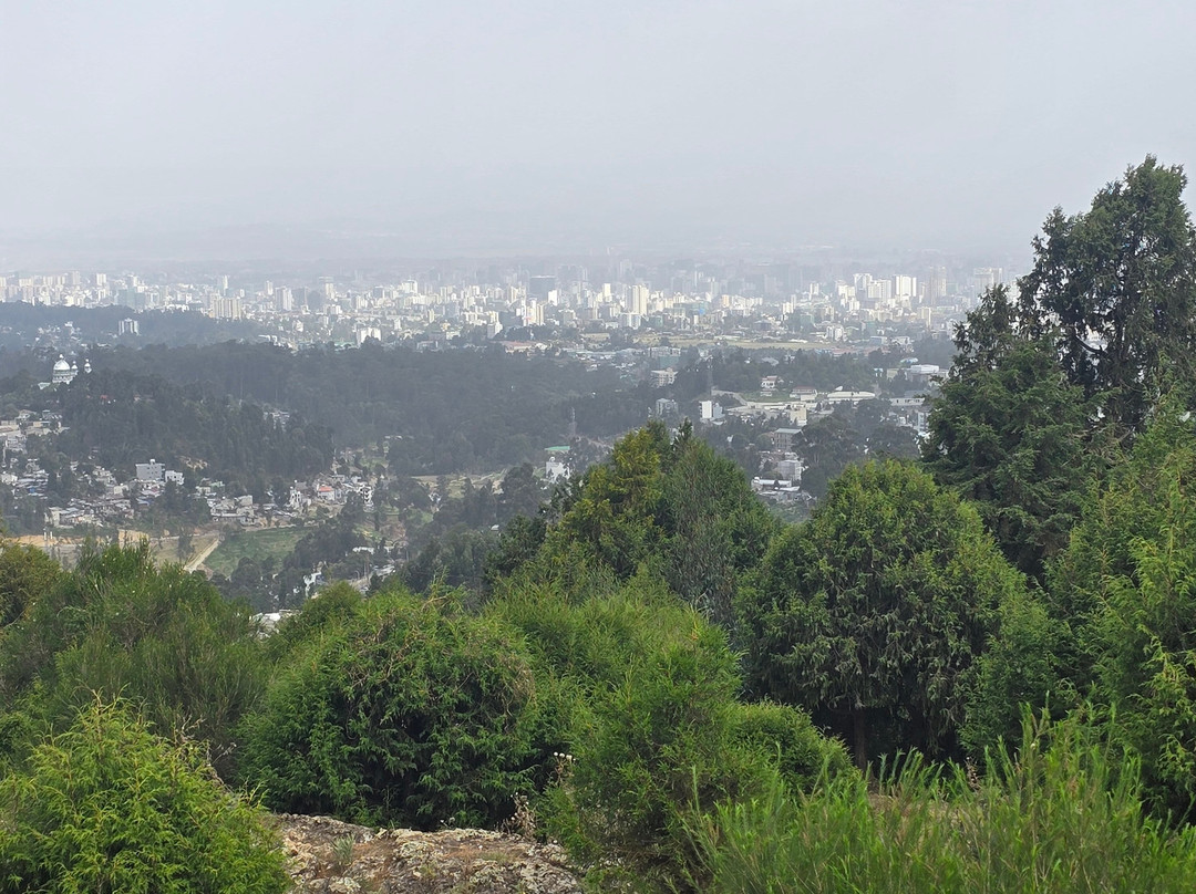 Liyu Ethiopia Tours-亚的斯亚贝巴必去景点