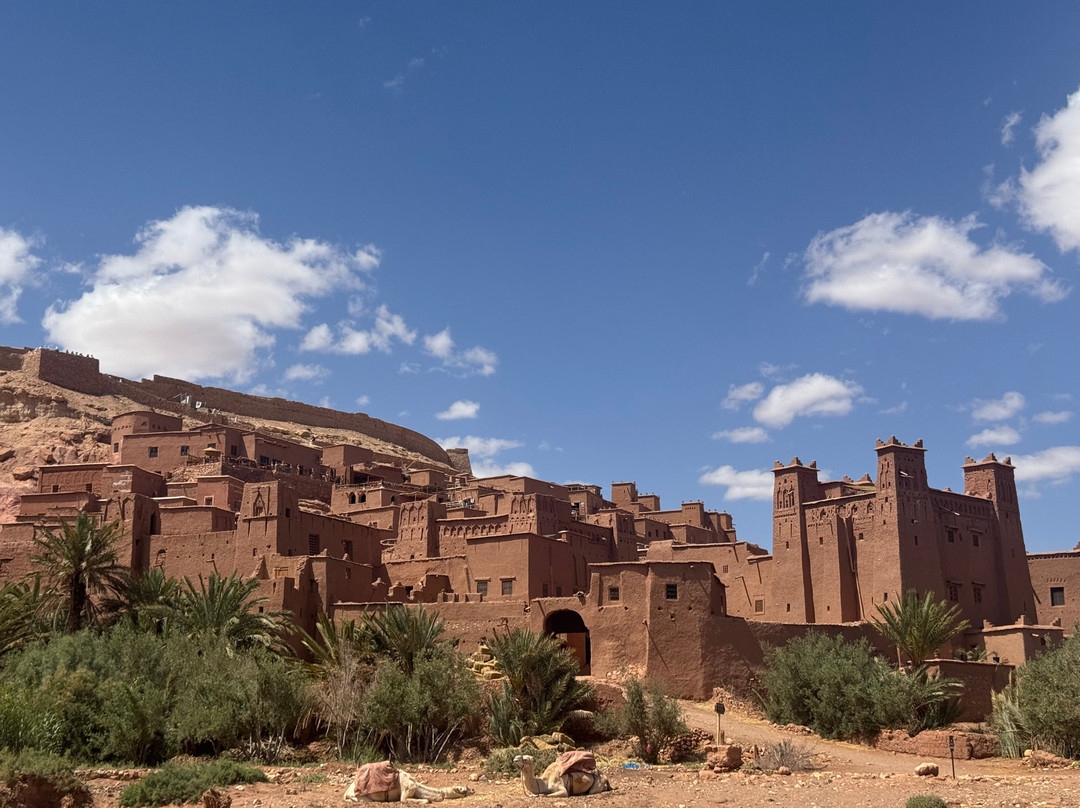 Morocco Colourful Tours-卡萨布兰卡必去景点