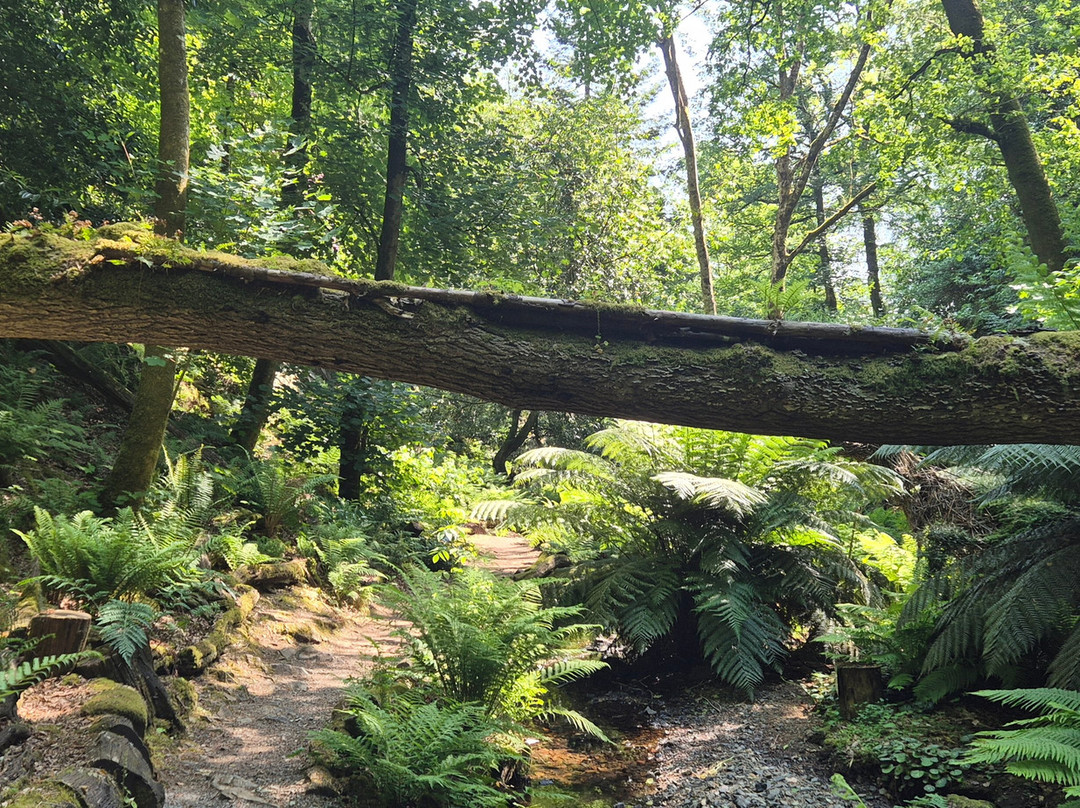 Canonteign Falls-Christow必去景点