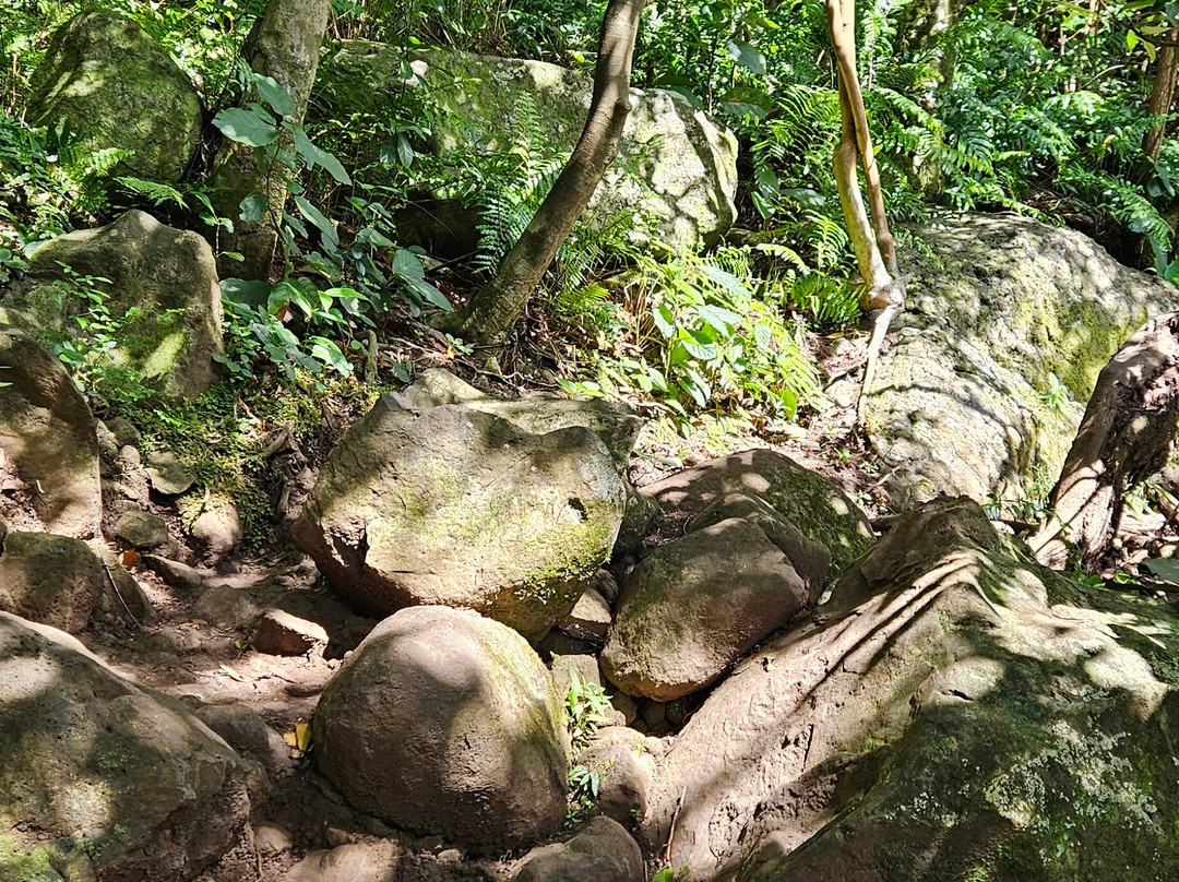 Jay7Cascades-Henrietta必去景点
