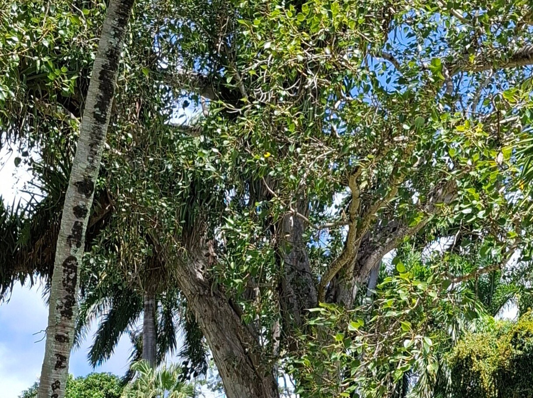 Scarborough Botanical Garden-斯卡伯勒必去景点