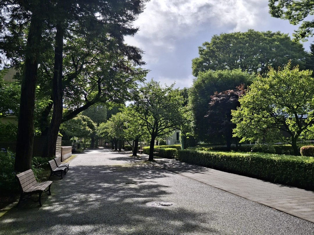 Tokyo Metropolitan Koganei Park-小金井市必去景点