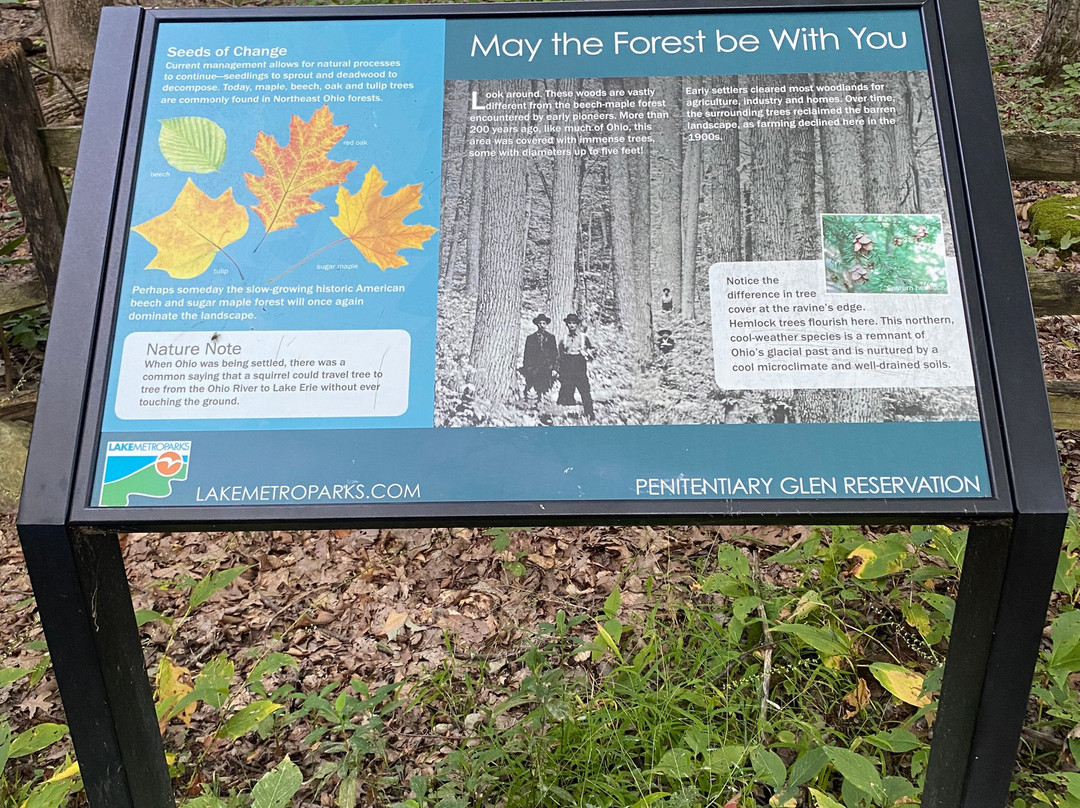 Lake Metroparks Penitentiary Glen Reservation-Kirtland必去景点