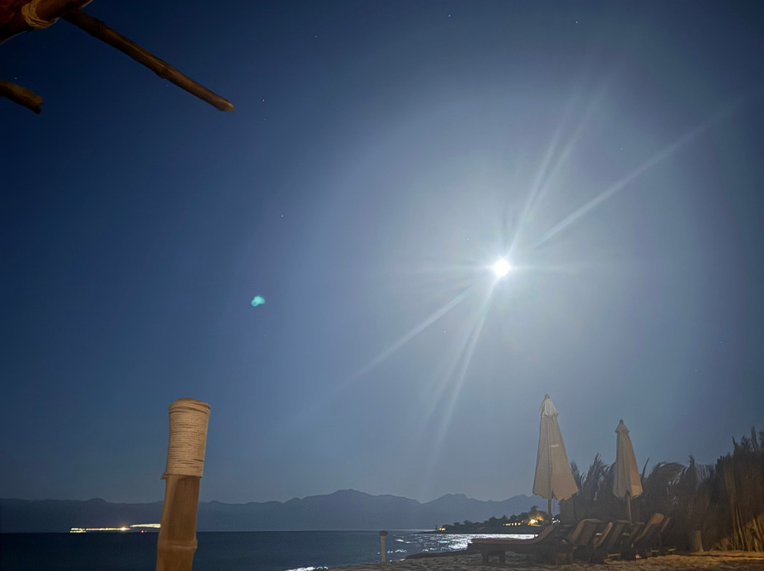哈比巴海滩旅舍主图