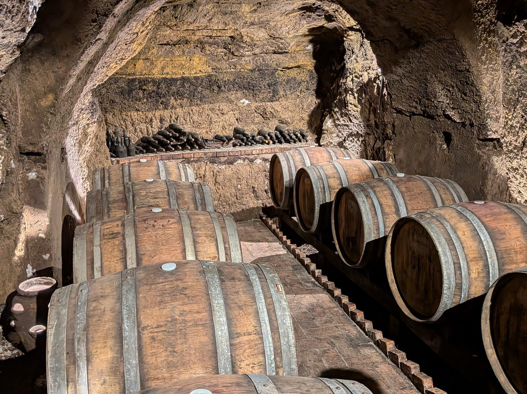 Cantine del Notaio-Rionero in Vulture必去景点