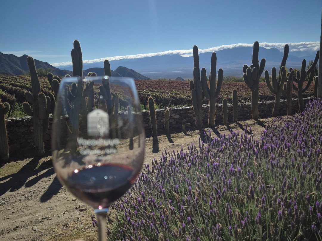 Bodega San Pedro de Yacochuya-卡法亚特必去景点