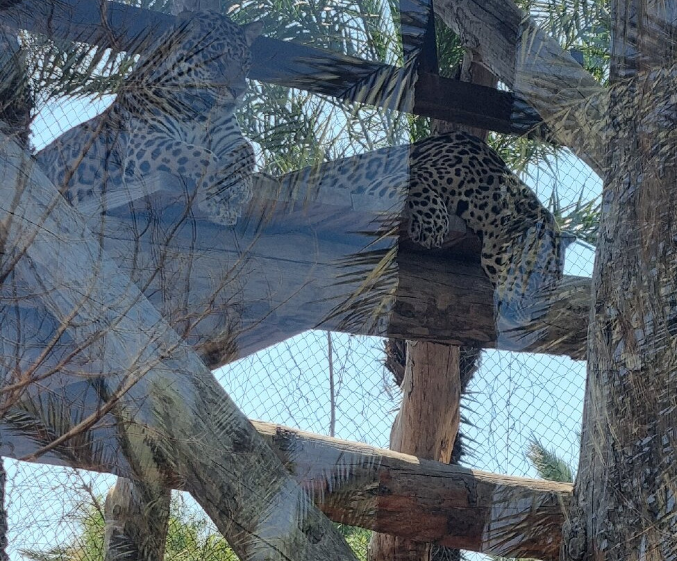 Rio Safari Elche-埃尔切必去景点