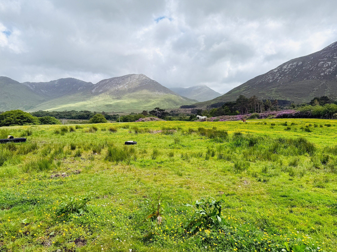 Kylemore Abbey & Victorian Walled Garden-Kylemore必去景点