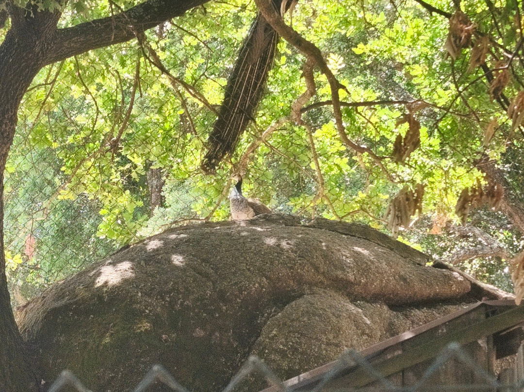 Quinta Dos Corgos主图
