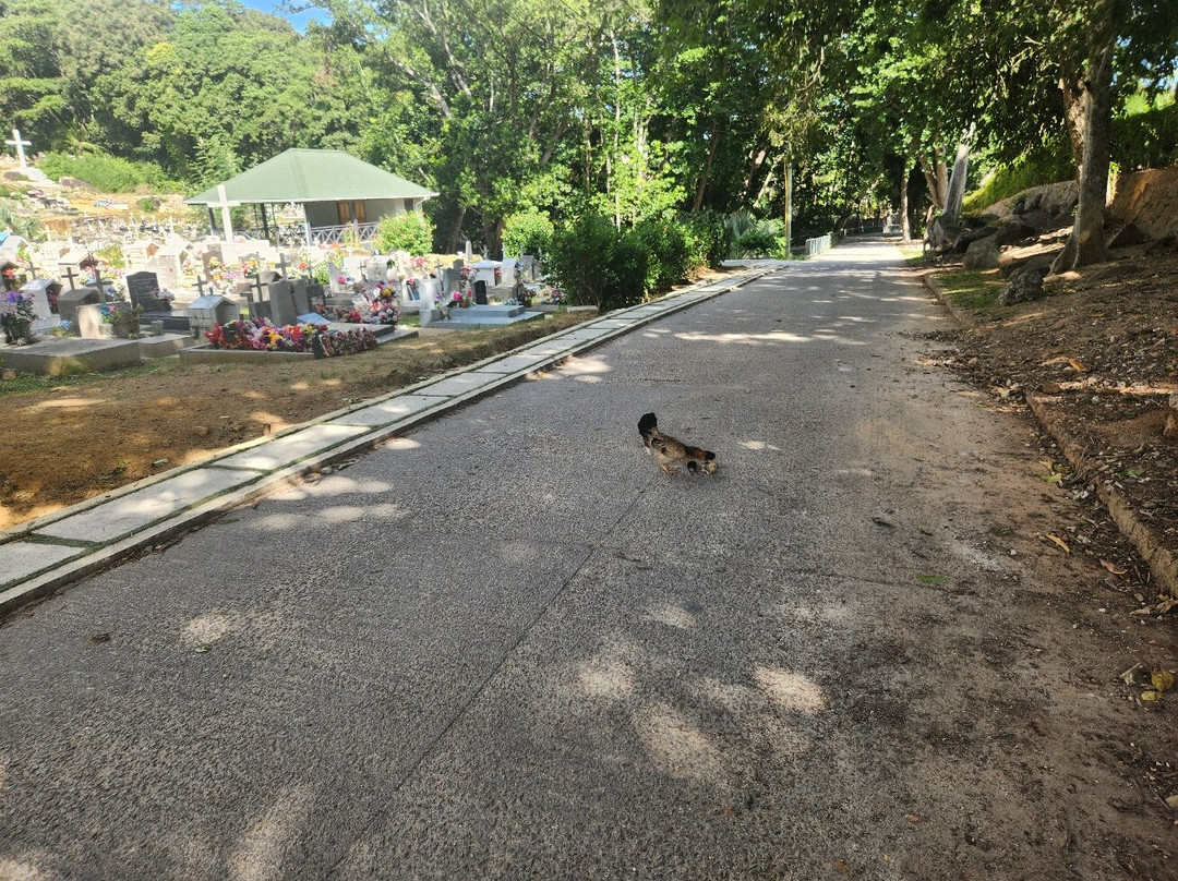 La Digue Cemetery-L'Union必去景点