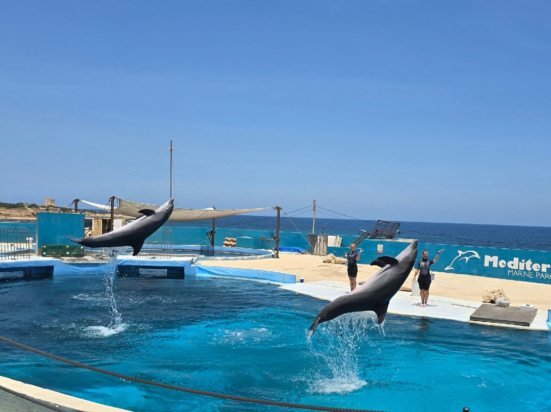 Mediterraneo Marine Park-Bahar ic-Caghaq必去景点