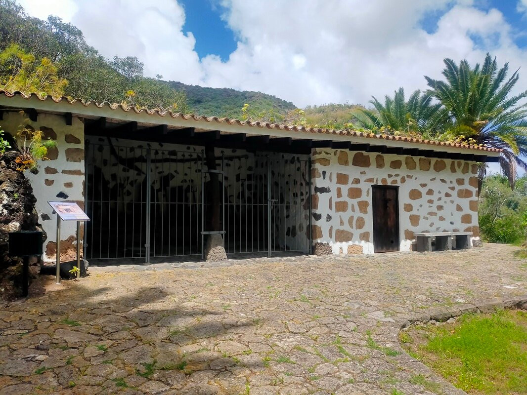 Jardín Botánico Viera y Clavijo-大加那利岛拉斯帕尔马斯必去景点