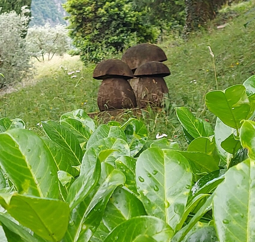 Castello di Vezio-Vezio必去景点